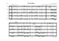 The Rabbit (version for chamber string orchestra)